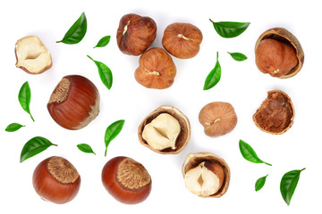 Hazelnuts with leaves isolated on white background. Top view. Flat lay