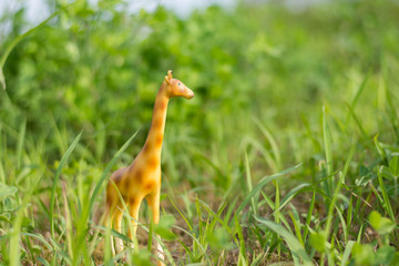 Miniature giraffe figurine in grass like a mini safari.