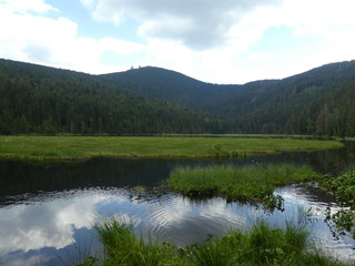 Fototapeta na wymiar landscape of the bavarian forest lake mountains