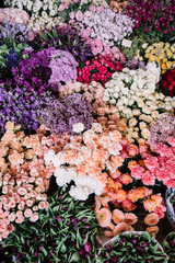 Endless flower bed of roses, carnations, ranunculus, orchids, gerbera, mattiola, eustoma,...
