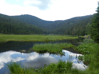 landscape of the bavarian forest mountains lake water