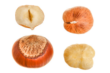 Hazelnut isolated on white background. Set or collection. Top view
