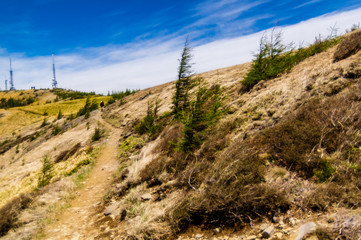 春の美ヶ原高原