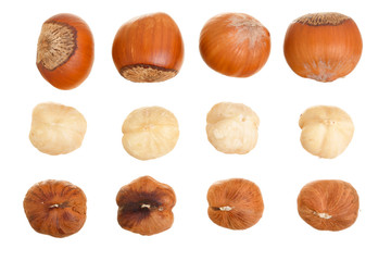 Hazelnut isolated on white background. Set or collection. Top view. Knolling