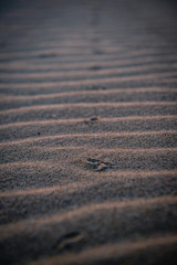 Footprint