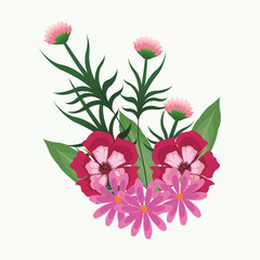 Beautiful pink flowers with leaves vector illustration graphic design
