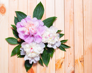 Peony flowers on a wooden background