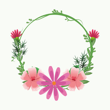 Decorative round frame pink flowers with leaves vector illustration graphic design