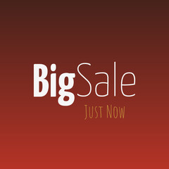 Big Sale Just Now