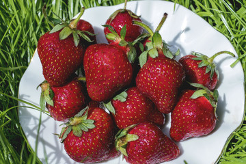 Strawberries in a plate on a background of grass