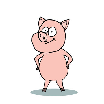 Caricature pig. Cartoon pig