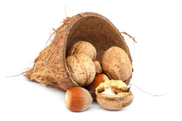 Walnut, hazelnut and coconut on white background.