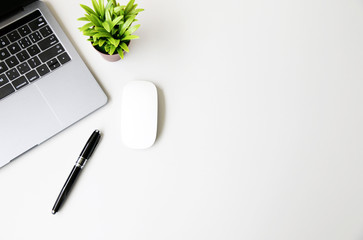 Office table with Laptop,mouse,pen and plant, copy space,Top view, flat lay,minimal style