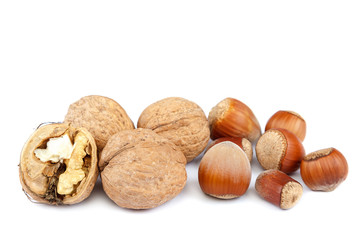 Hazelnuts and walnuts isolated on white background