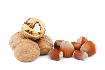 Hazelnuts and walnuts isolated on white background