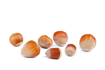 Fruits Hazelnuts isolated on a white background.
