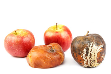 Fruits of an apple and peach with rot.
