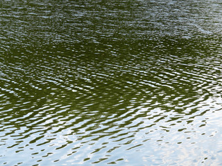 Water texture background with ripples. Shimmering waves on water surface
