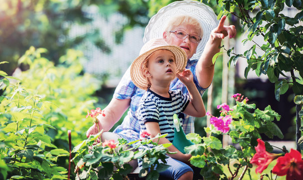 Gardening With Kids. Senior Woman And Her Grandchild Working In The Garden With A Plants. Hobbies And Leisure, Lifestyle, Family Life