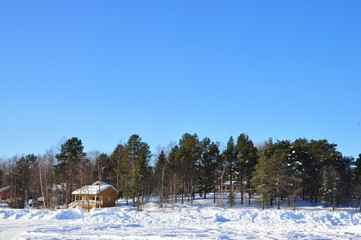 Houses, trees and snow