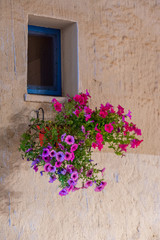 Finestra con vaso di fiori, Sicilia