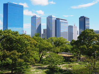 Obraz premium OLYMPUS DIGITAL CAMERA