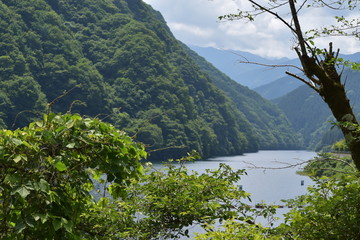 ダム湖が見える