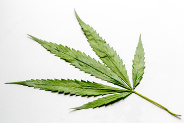 Background of Cannabis (Drugs), Analysis of Cannabis in laboratory.