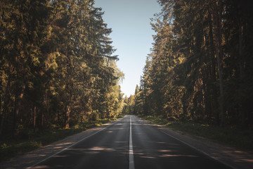 road through forest