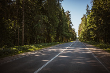 road through forest