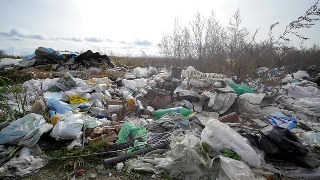 dropping litter at a garbage disposal site