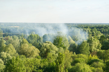 The fire in the wood. Photographing from height of bird's flight.