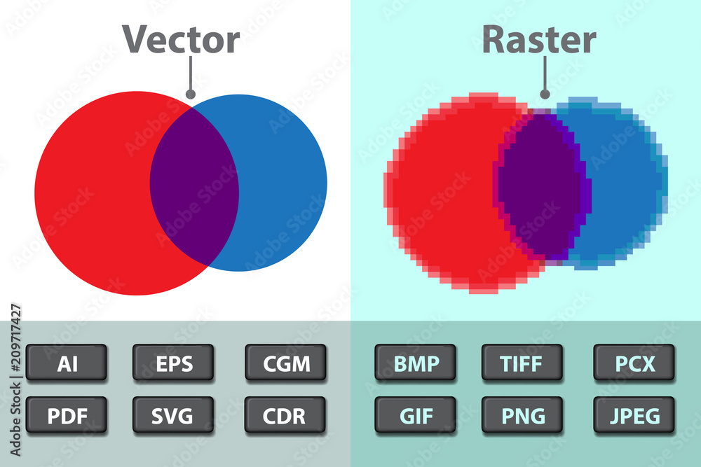Fototapete Difference between vector and raster. Image formats
