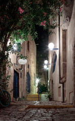 Queet street - Mazal Dagim at night in old city  Yafo, Israel.