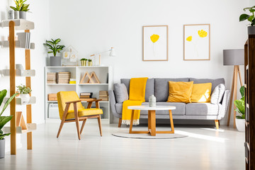 Real photo of a scandi living room interior with gray and yellow furniture, white walls, flower posters and plants