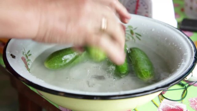 Fresh home-grown cucumbers are washed in a bowl on a Russian dacha - summer house