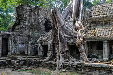 Preah Khan Temple in Angkor Wat, Cambodia