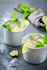 Moscow mule cocktail with vodka, ginger beer, lime and mint