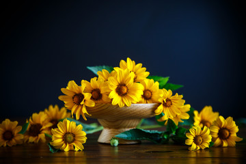 bouquet of yellow big daisies