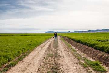 Fototapeta premium outdoors female model photo shoot in the spring