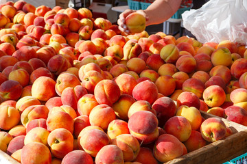 Customer choosing peaches at a local farmer's market