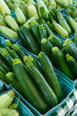 Fresh Zucchini Squash at an Outdoor Market