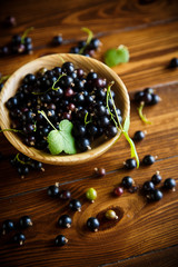 ripe berries black currants