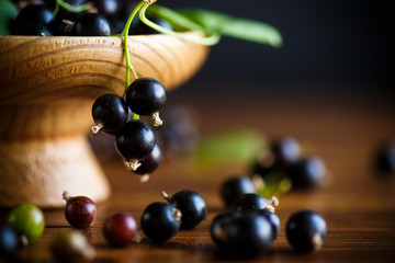 ripe berries black currant