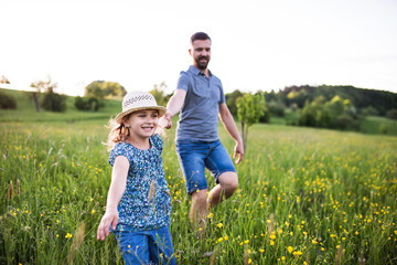 Fototapeta premium Father with a small daughter running in spring nature.