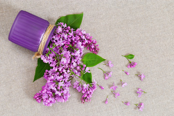 Vase with lilac flowers scattered on natural rough material. Pink flowers lilac on tablecloth with copy space. Rustic background with fresh flowers.