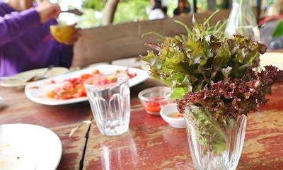 organic lettuce in glass of water