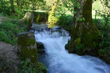 Brühlbach beim Uracher Wasserfall; Bad Urach; Deutschland; Schwaebische Alb;