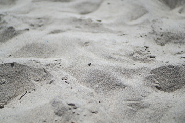 Sand. Small dunes on the beach in Alimini. The Italian coast of the Adriatic sea.