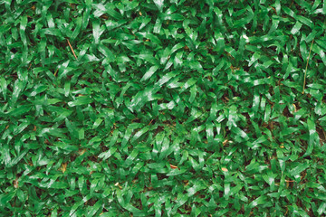 Closeup image of green grass background